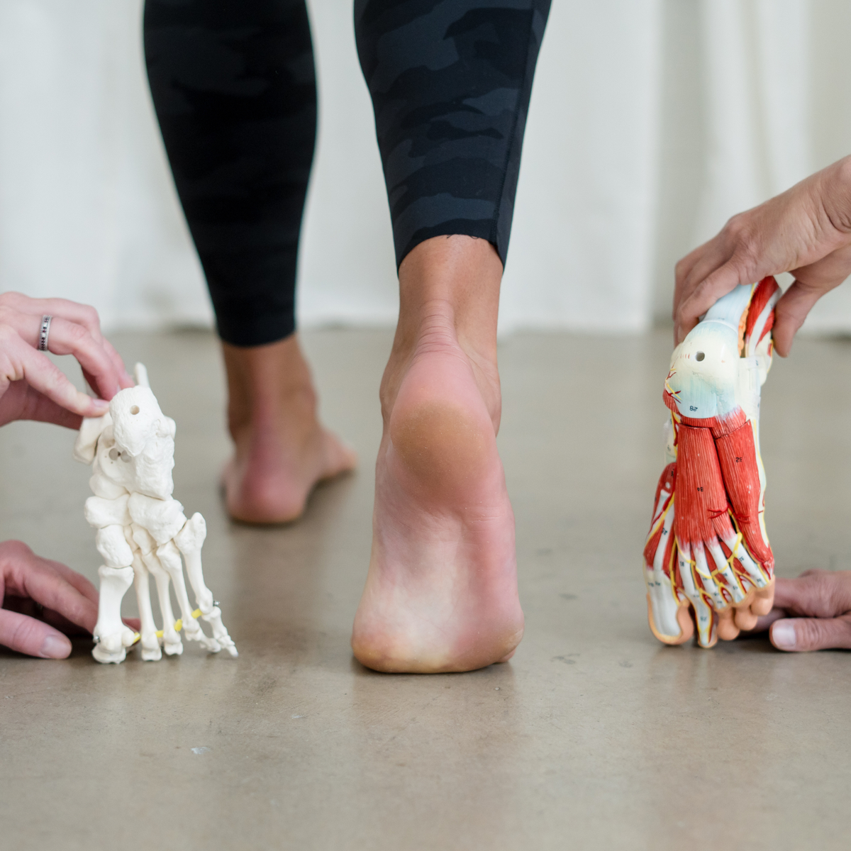 Fit Feet Program
