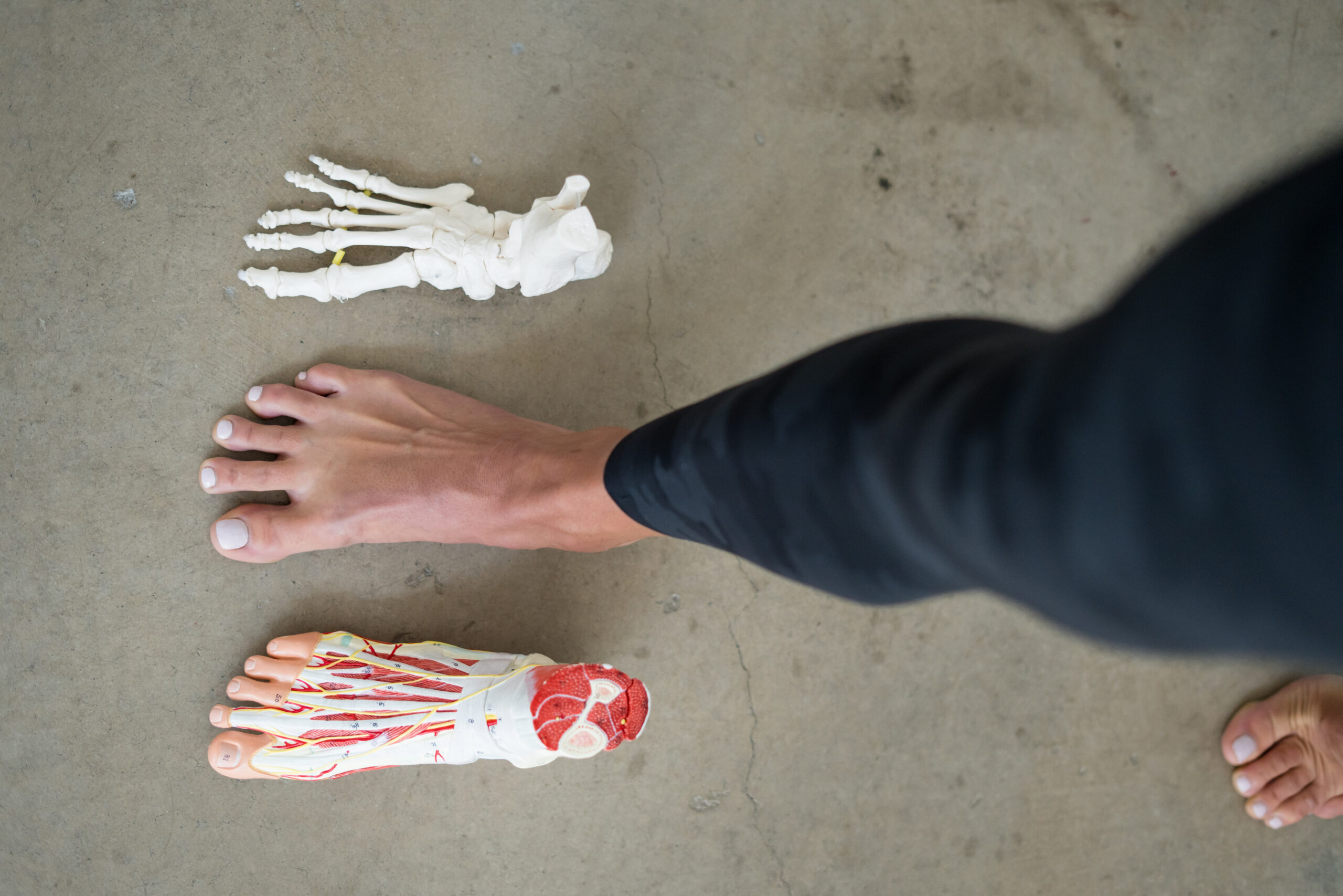 Walking Foot Dynamics: Key Movements | Gait Happens